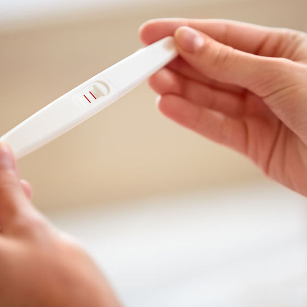 The Hannah Center Services